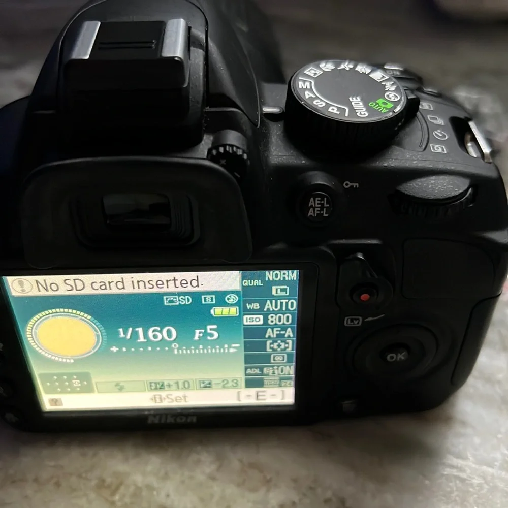 Nikon D3100